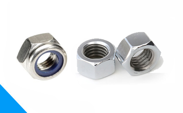 Hex Nut & Nylock Nut