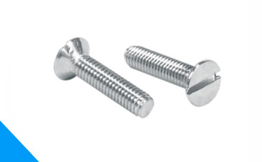 Slotted Csk Screw